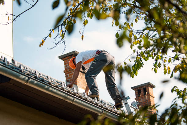 Best Roof Gutter Cleaning  in North Alamo, TX