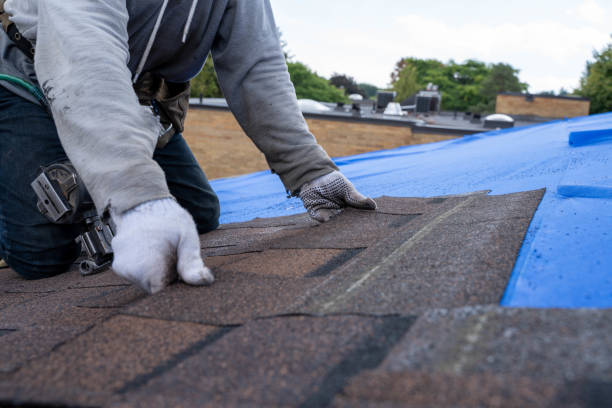 Best Metal Roofing Contractor  in North Alamo, TX