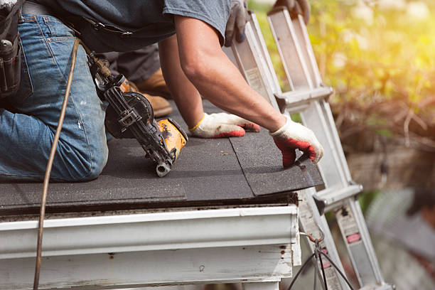Best Emergency Roof Repair  in North Alamo, TX