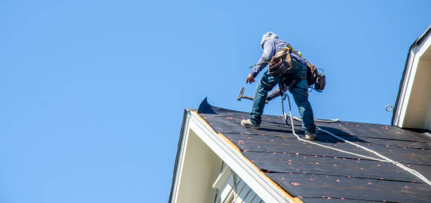 Best Roof Waterproofing Services  in North Alamo, TX